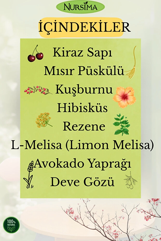 Nursima Kiraz Saplı Mısır Püsküllü Bitkisel Karışımlı Çay 40 Süzen Poşet Koli 24 Adet